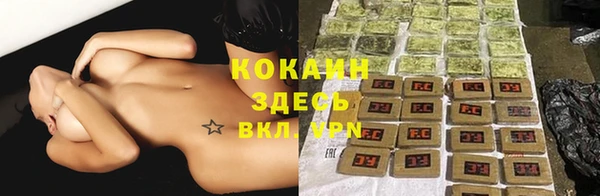 дживик Дмитриев