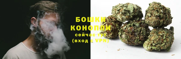 дживик Дмитриев