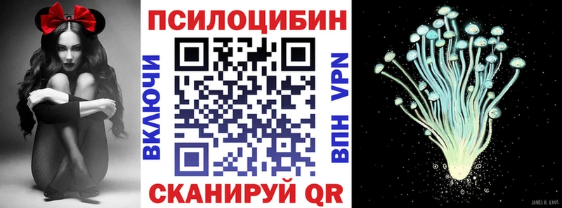 Псилоцибиновые грибы Psilocybe  Купить закладки  Приволжск 
